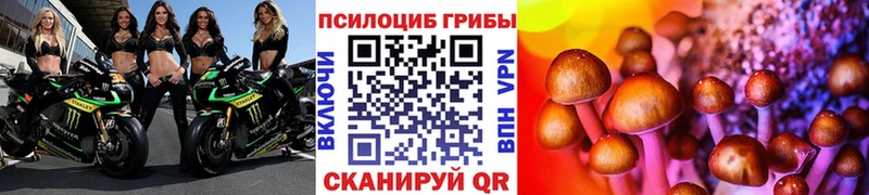 Псилоцибиновые грибы GOLDEN TEACHER  сайты даркнета формула  Волжск 